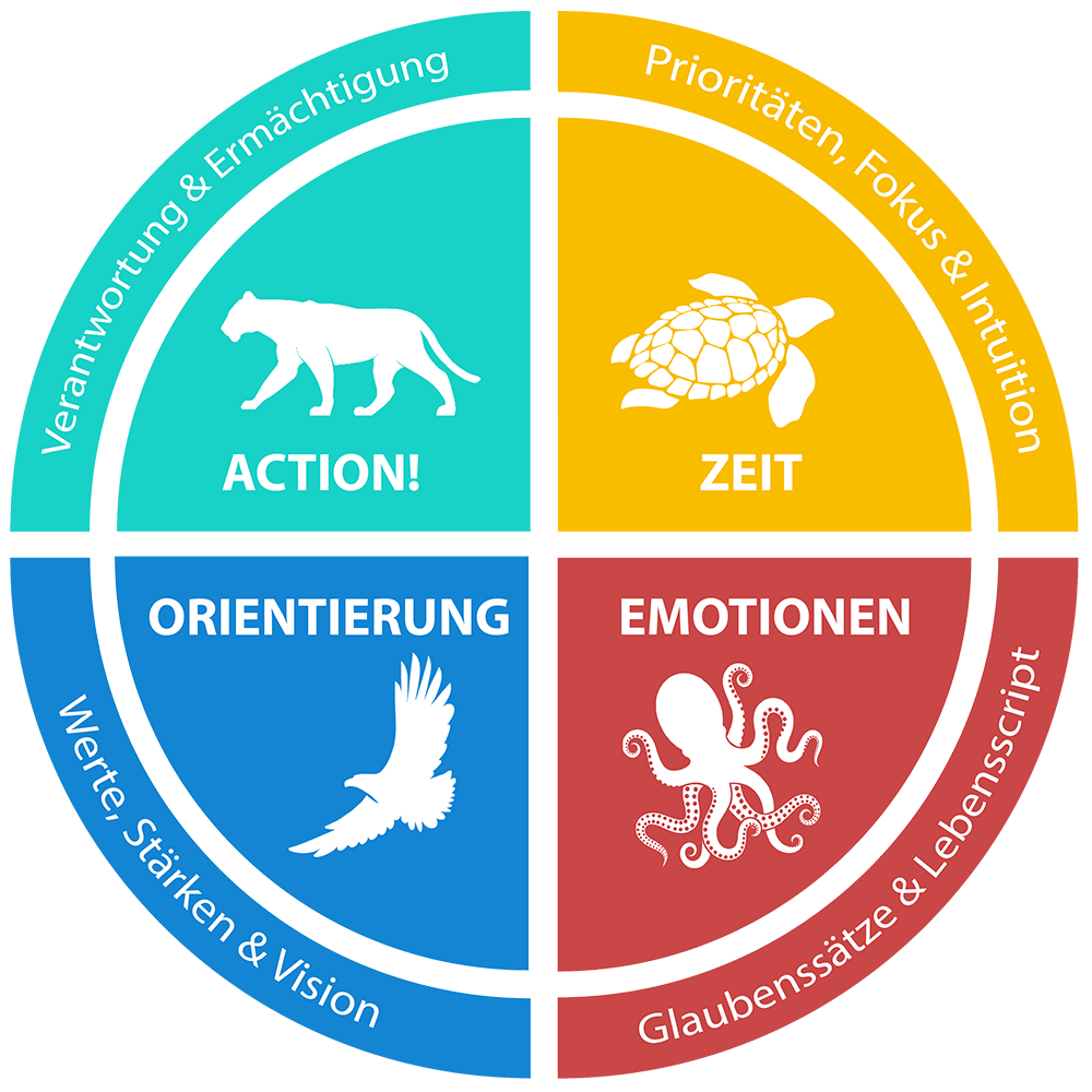 TN-Kompass-rgb Life Coaching Führungskompass