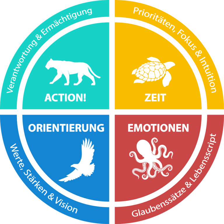Coaching-Kompass-768x767